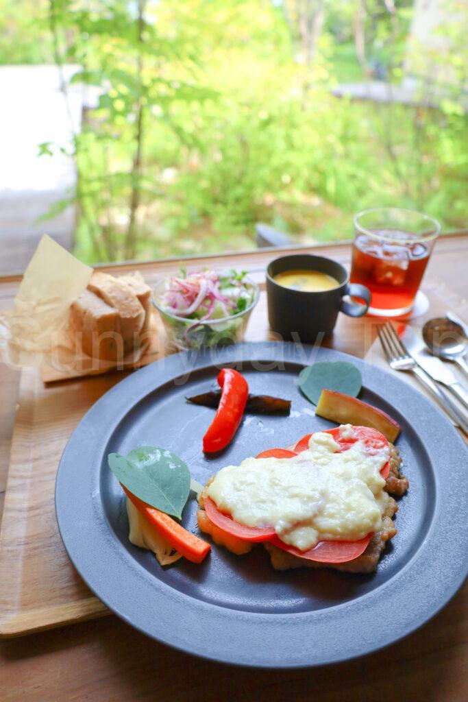 フィールドノート