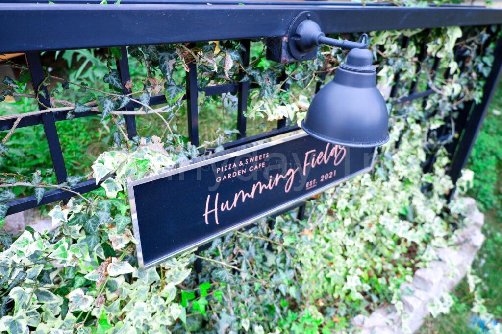 Humming Fields