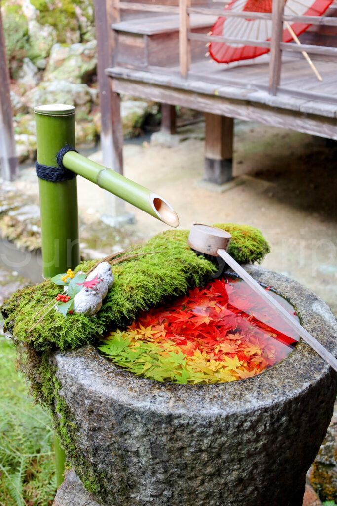 楊谷寺の花手水