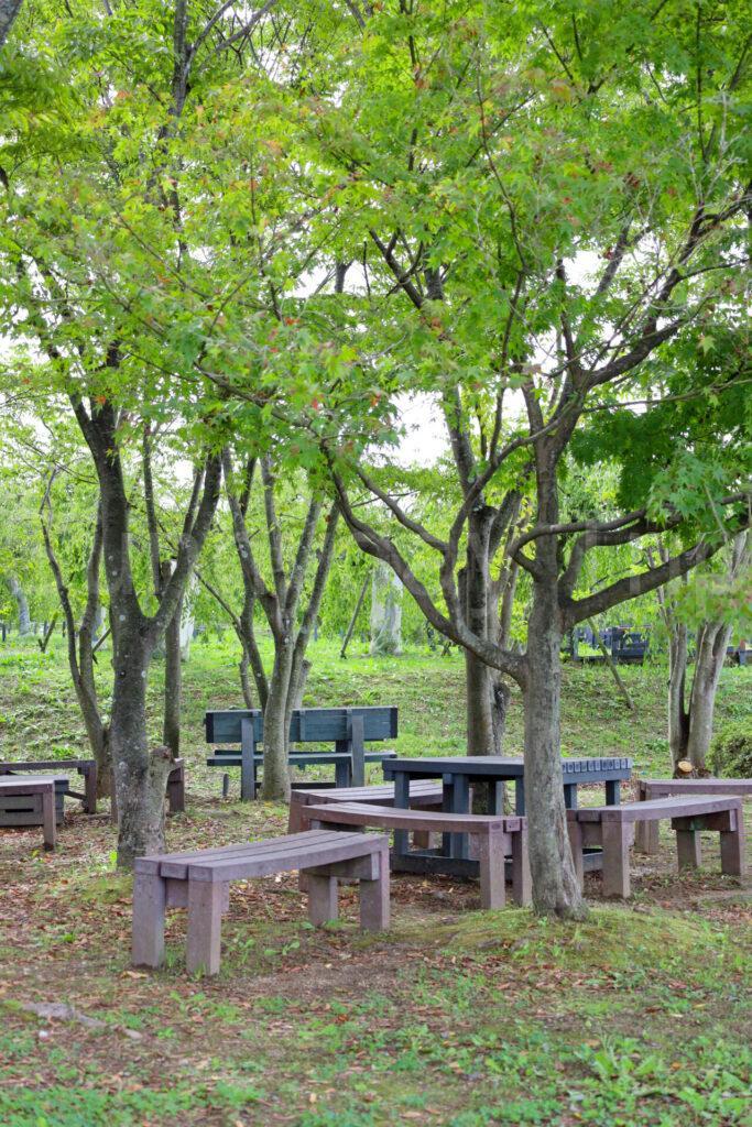 和泉リサイクル環境公園内のテーブル&ベンチ