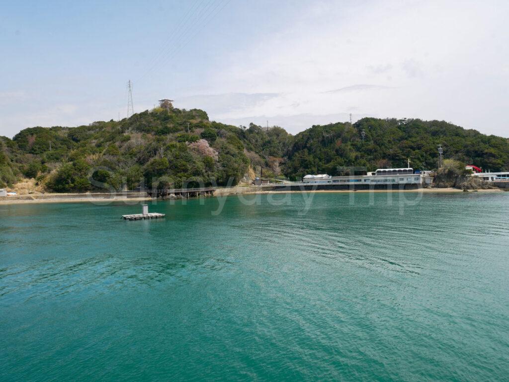 イルカ島