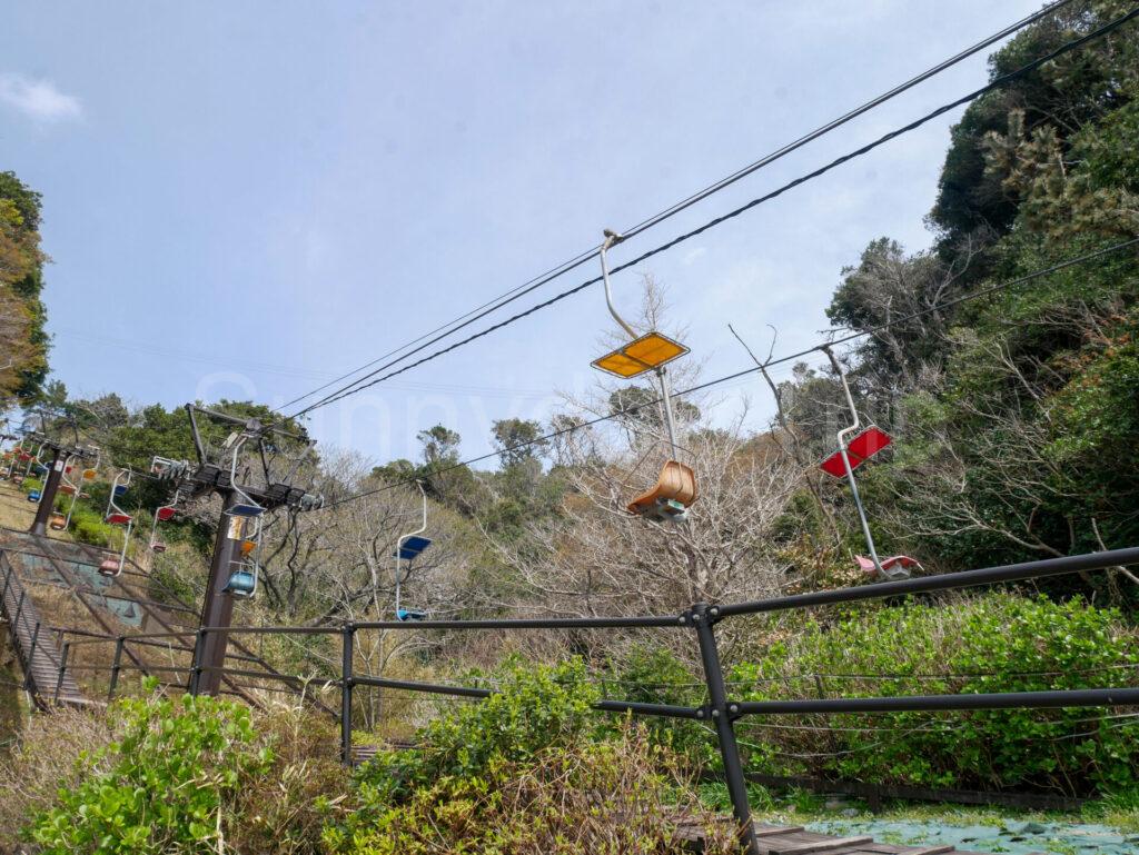 イルカ島