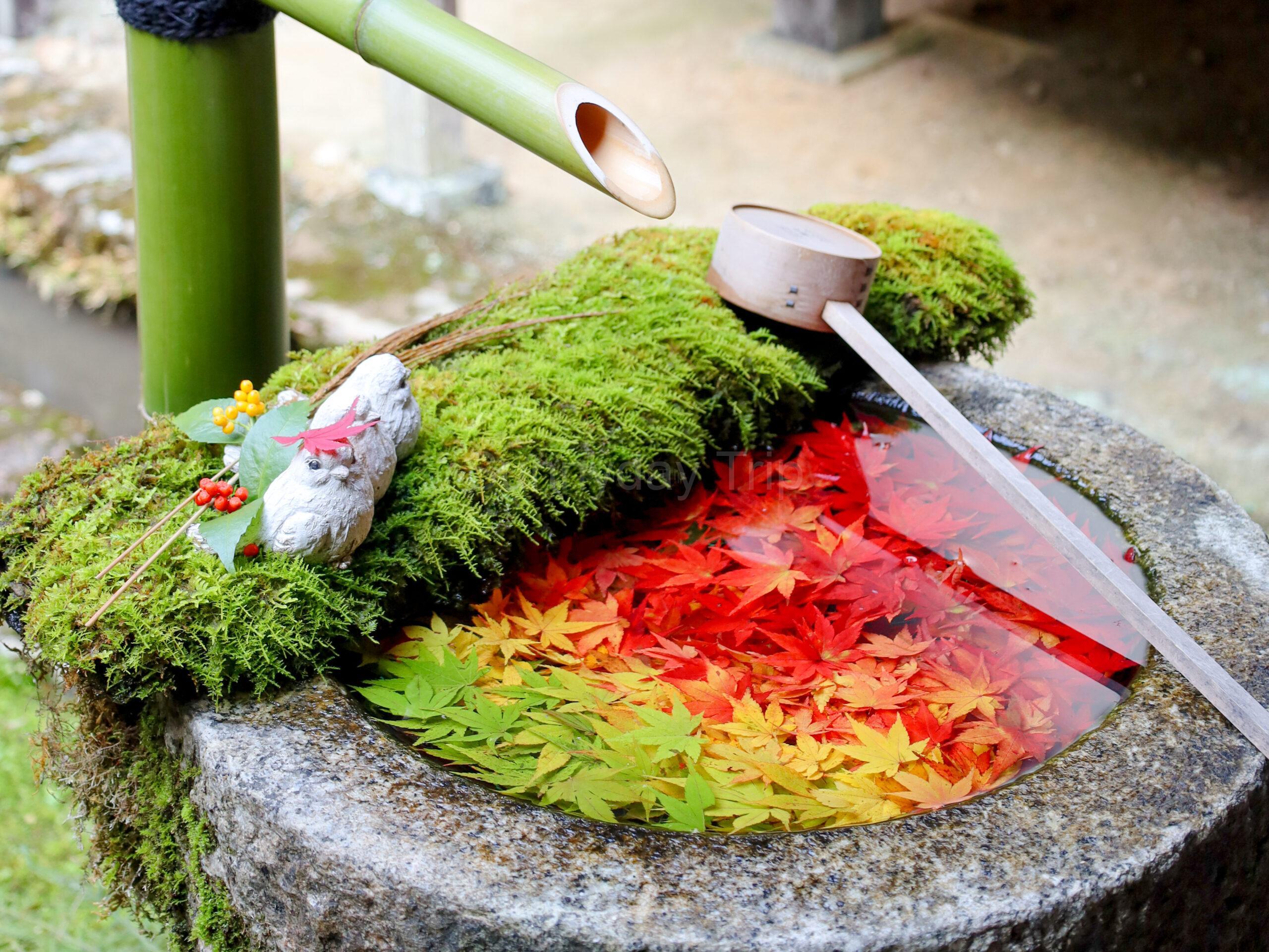 楊谷寺の花手水
