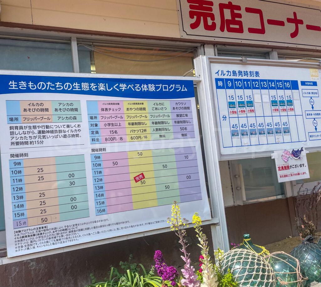 イルカ島