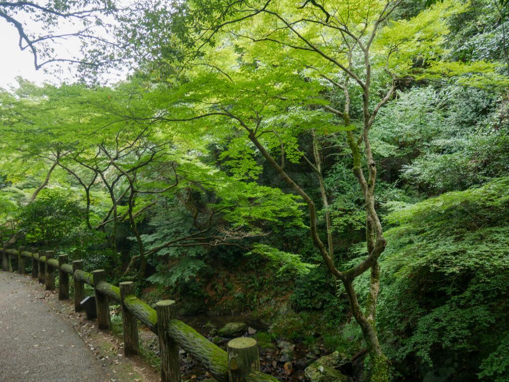 YUZUYA橋本亭