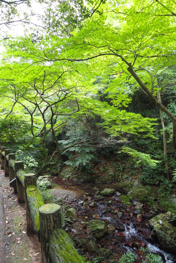 YUZUYA橋本亭