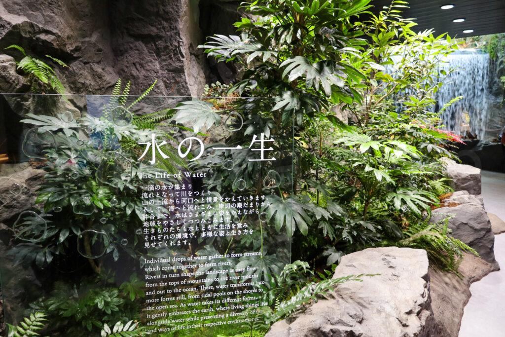 須磨シーワールド