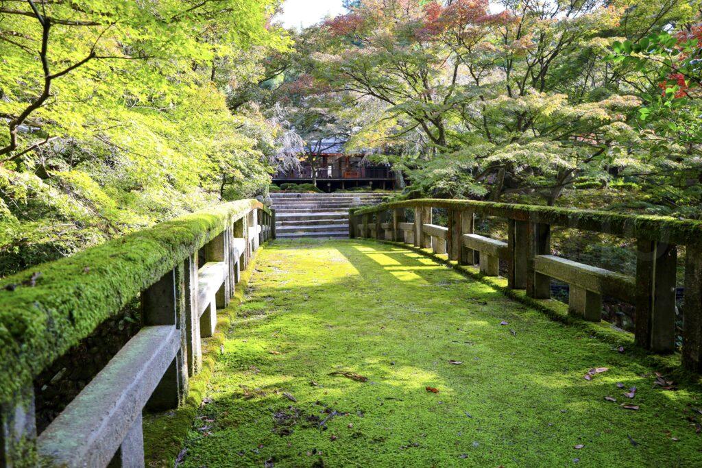 ホテルハーヴェスト京都鷹峯