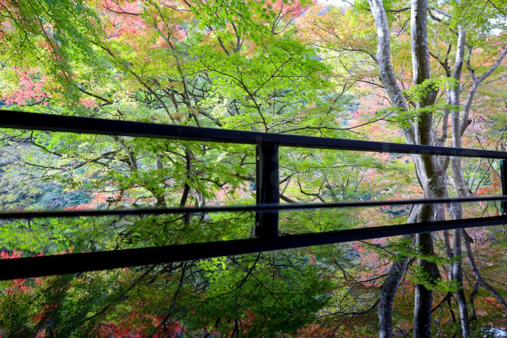 京都嵐山祐斎亭(ゆうさいてい)