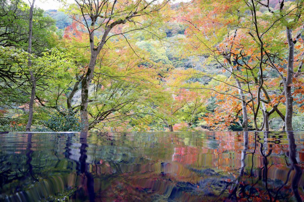 京都嵐山祐斎亭(ゆうさいてい)