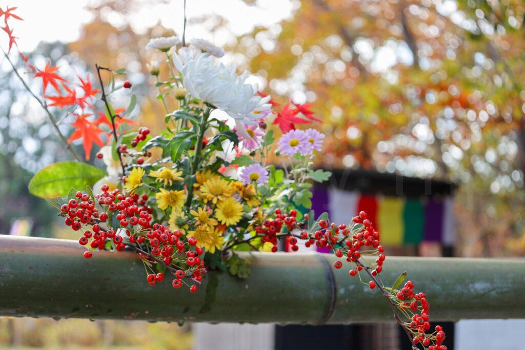 叶匠壽庵 寿長生の郷(すないのさと)