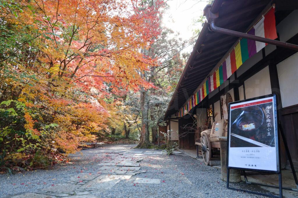叶匠壽庵 寿長生の郷(すないのさと)