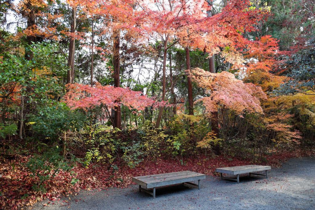 叶匠壽庵 寿長生の郷(すないのさと)
