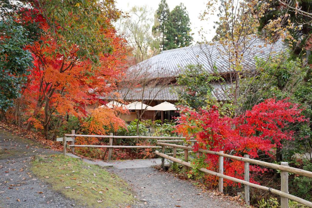 叶匠壽庵 寿長生の郷(すないのさと)