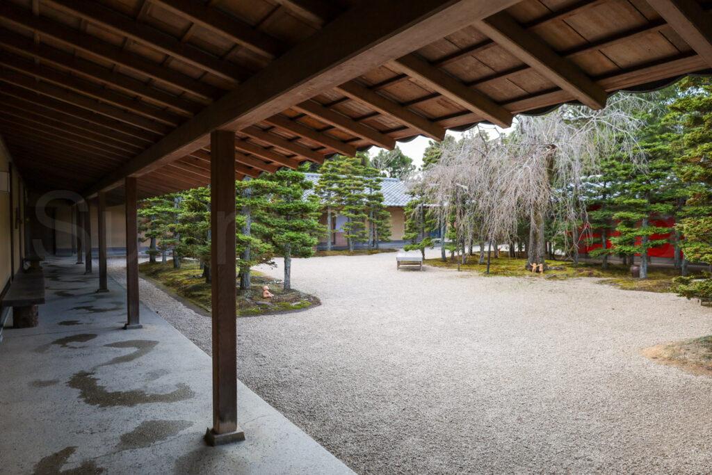 叶匠壽庵 寿長生の郷(すないのさと)