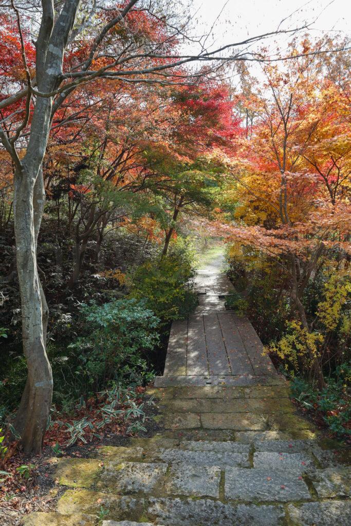 叶匠壽庵 寿長生の郷(すないのさと)