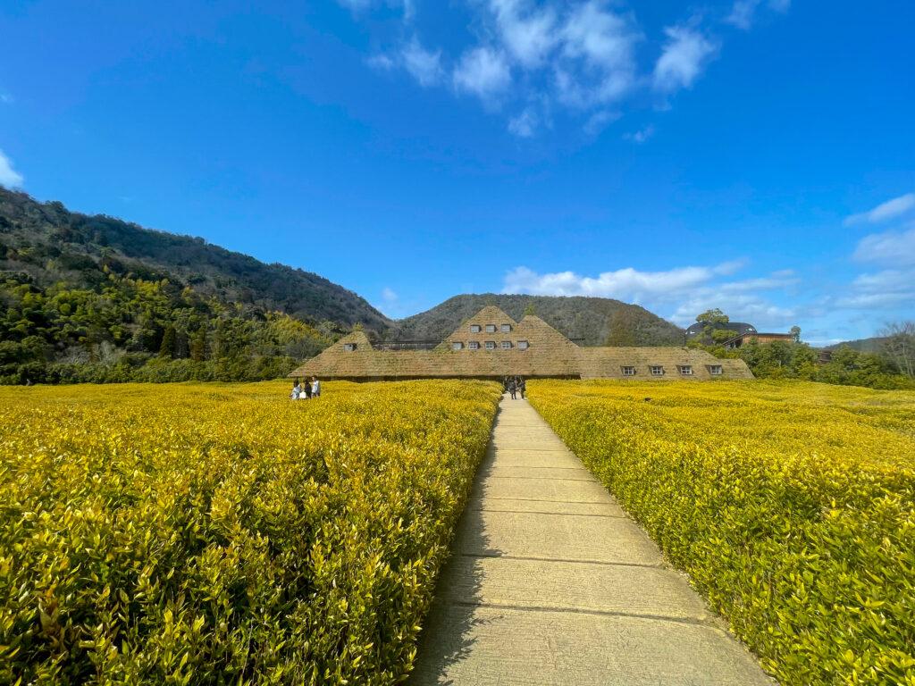 ラコリーナ近江八幡